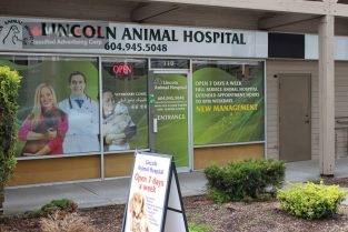 دامپزشکی کلینیک- Lincoln Animal Hospital